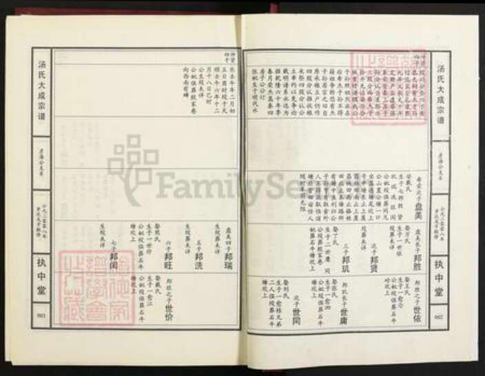 江西省九江市江西省九江市汤；汤氏执中堂族谱-汤氏大成宗谱.pdf电子版预览图2