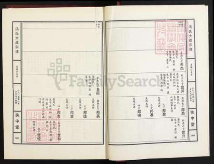 江西省九江市江西省九江市汤；汤氏执中堂族谱-汤氏大成宗谱.pdf电子版预览图3