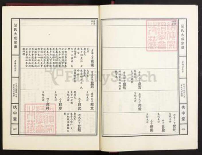 江西省九江市江西省九江市汤；汤氏执中堂族谱-汤氏大成宗谱.pdf电子版预览图4