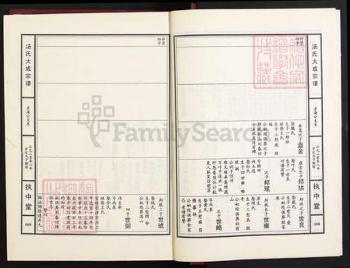 江西省九江市江西省九江市汤；汤氏执中堂族谱-汤氏大成宗谱.pdf电子版预览图5