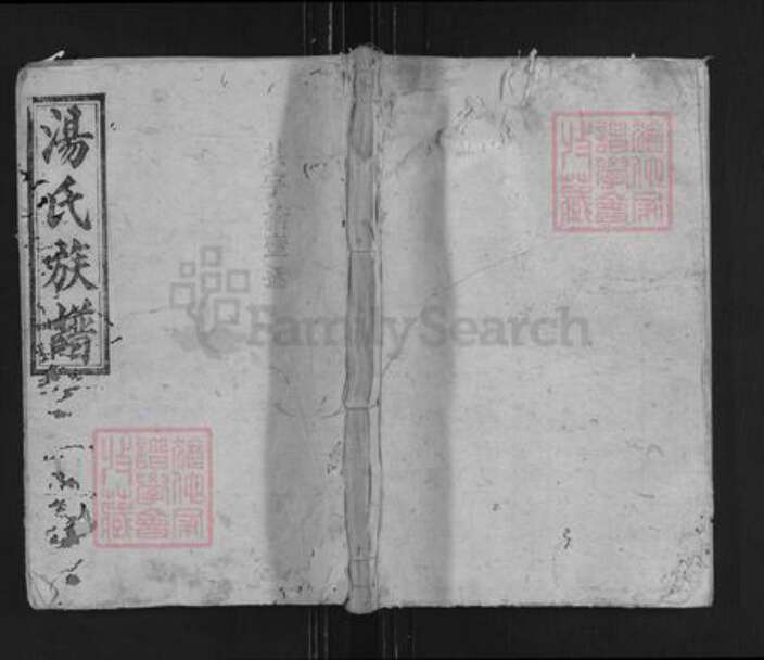 湖南省常德市桃源县汤氏中山堂族谱-汤氏族谱.pdf电子版缩略图