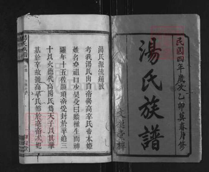 湖南省常德市桃源县汤氏中山堂族谱-汤氏族谱.pdf电子版预览图1