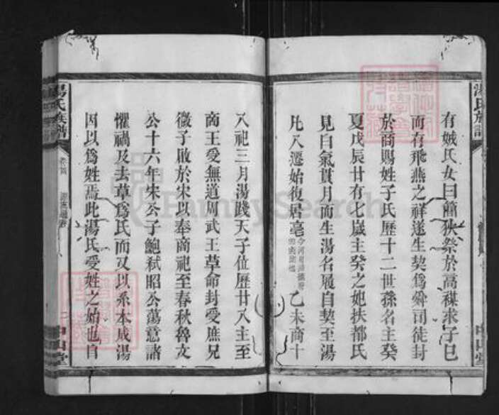 湖南省常德市桃源县汤氏中山堂族谱-汤氏族谱.pdf电子版预览图2