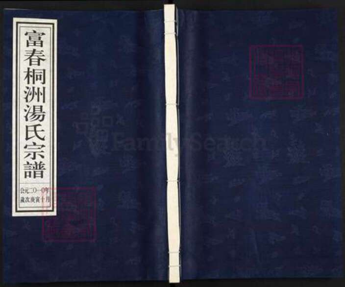 浙江省杭州市富阳新桐乡乡汤氏明德堂族谱-富春桐洲汤氏宗谱.pdf电子版缩略图