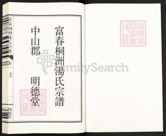 浙江省杭州市富阳新桐乡乡汤氏明德堂族谱-富春桐洲汤氏宗谱.pdf电子版预览图1