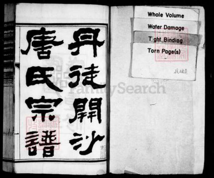 江苏省镇江市唐氏族谱-丹徒开沙唐氏宗谱 [12卷].pdf电子版预览图1