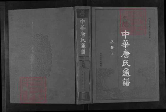甘肃省白银靖远唐氏族谱-中华唐氏通谱.pdf电子版缩略图
