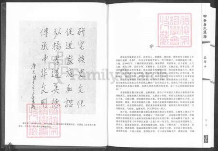 甘肃省白银靖远唐氏族谱-中华唐氏通谱.pdf电子版预览图5