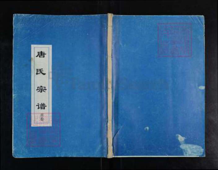 湖北省武汉市唐氏族谱-唐氏宗谱.pdf电子版缩略图