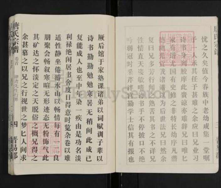 湖北省武汉市唐氏族谱-唐氏宗谱.pdf电子版预览图5