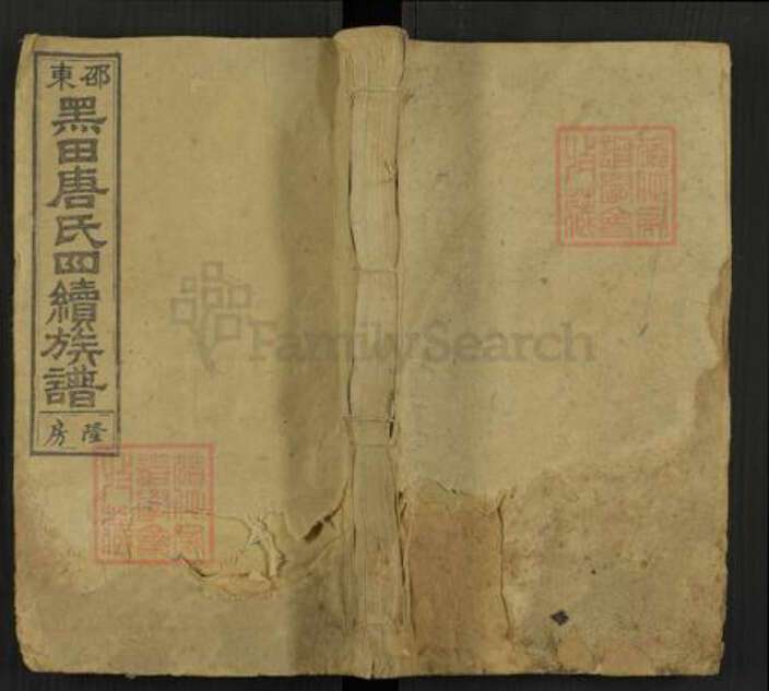 湖南省邵阳市邵东唐氏敦睦堂族谱-邵东黑田唐氏四续族谱.pdf电子版缩略图