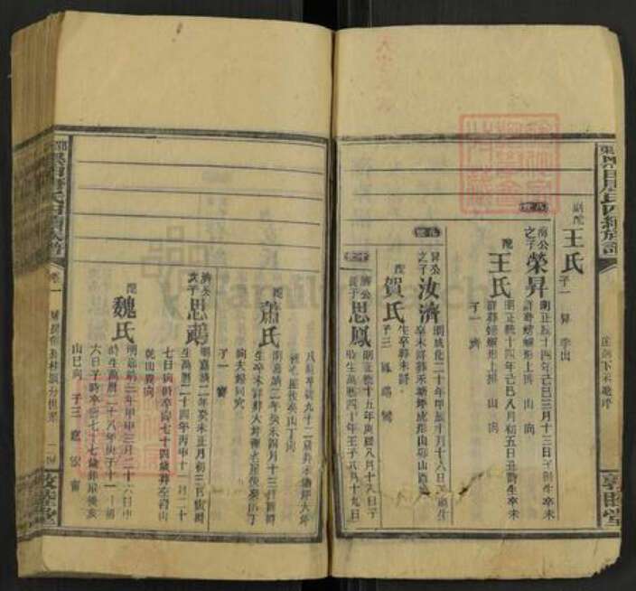 湖南省邵阳市邵东唐氏敦睦堂族谱-邵东黑田唐氏四续族谱.pdf电子版预览图1