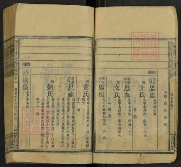 湖南省邵阳市邵东唐氏敦睦堂族谱-邵东黑田唐氏四续族谱.pdf电子版预览图4