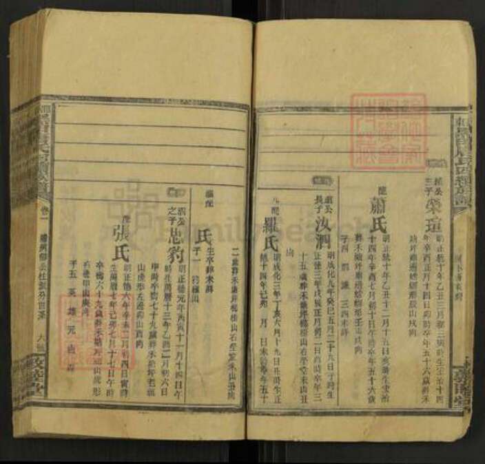 湖南省邵阳市邵东唐氏敦睦堂族谱-邵东黑田唐氏四续族谱.pdf电子版预览图5