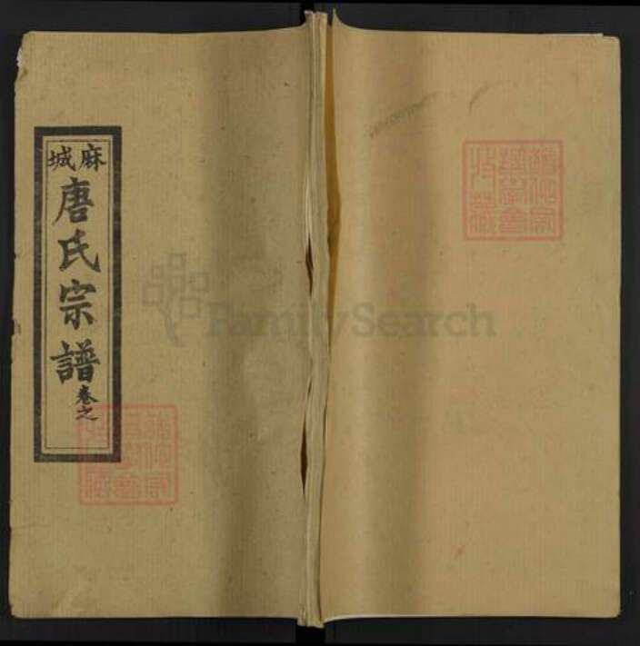 湖北省黄冈市麻城市唐氏亲睦堂族谱-麻城唐氏宗谱.pdf电子版缩略图