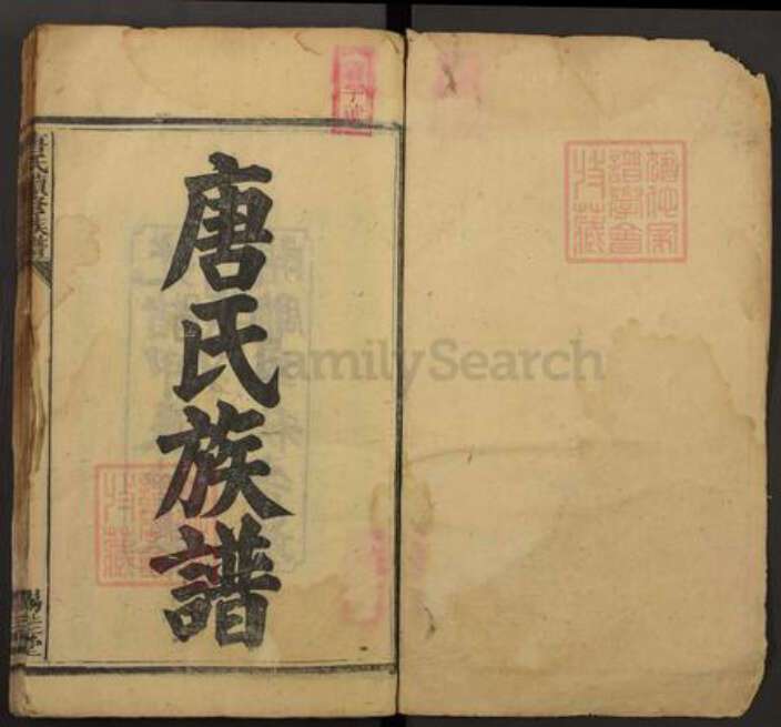 湖南省邵阳市唐氏锡珪堂族谱-唐氏续修族谱.pdf电子版预览图1