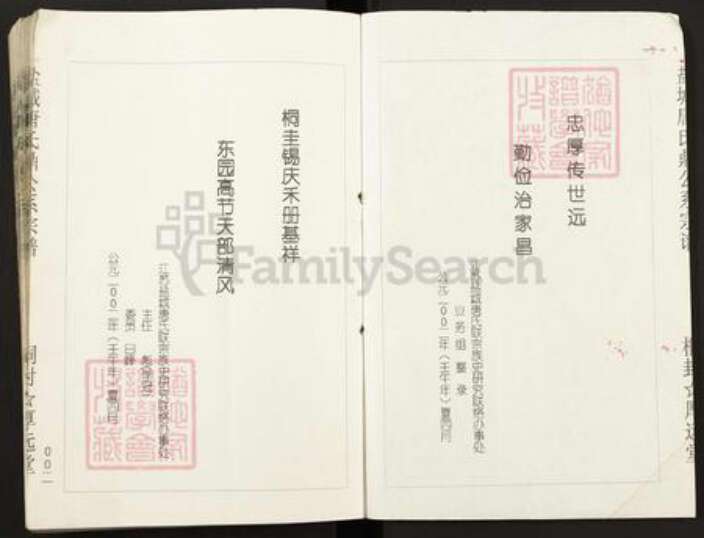 江苏省盐城市亭湖区唐氏厚远堂族谱-盐城唐氏鼎公系宗谱.pdf电子版预览图2