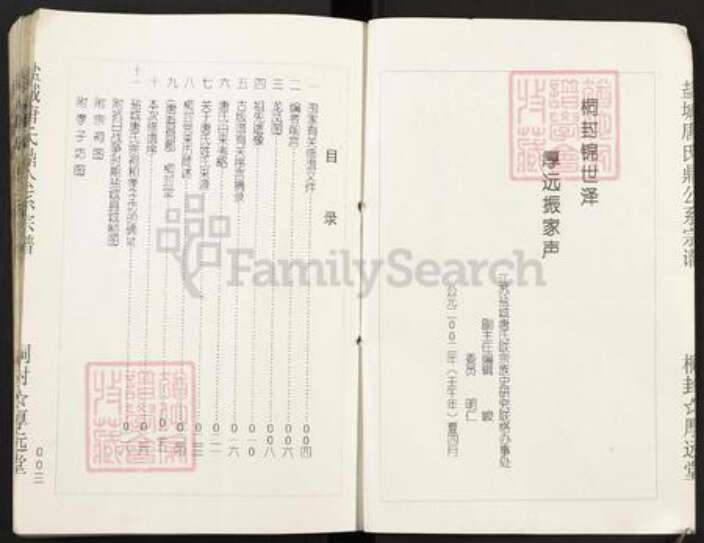 江苏省盐城市亭湖区唐氏厚远堂族谱-盐城唐氏鼎公系宗谱.pdf电子版预览图3