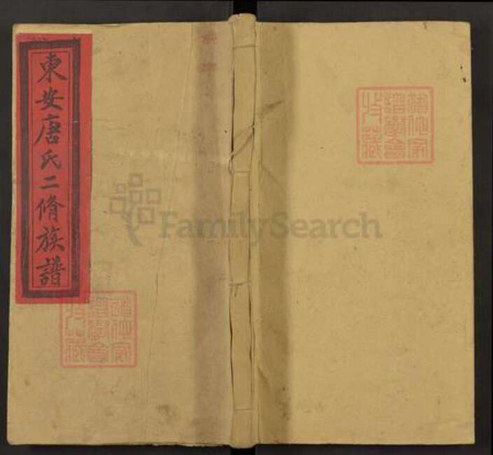 湖南省永州市东安县唐氏族谱-东安唐氏二修族谱.pdf电子版缩略图