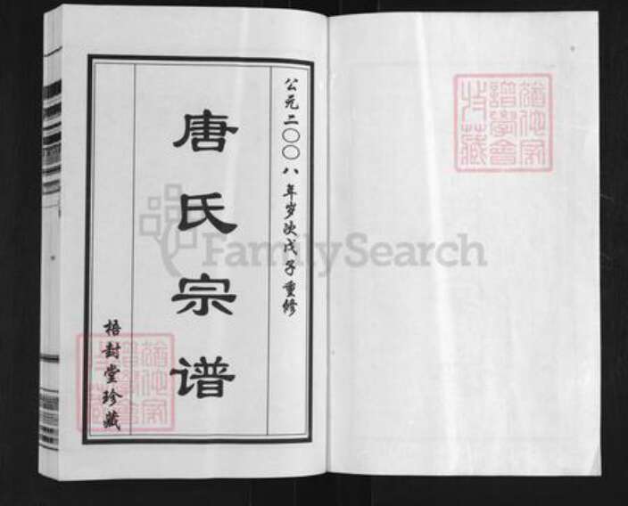 江苏省无锡市惠山区长安街道唐氏梧封堂族谱-无锡市玉祁镇唐氏宗谱.pdf电子版预览图1