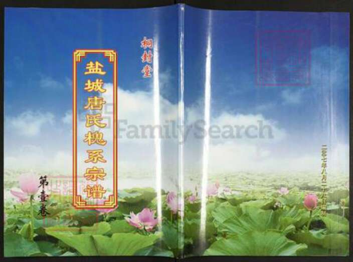 江苏省扬州市宝应县唐氏桐封堂族谱-盐城唐氏落潮槐系宗谱.pdf电子版缩略图