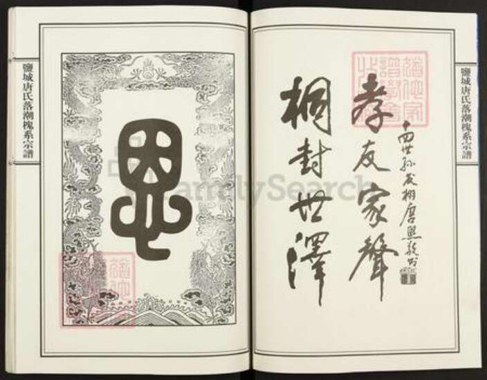 江苏省扬州市宝应县唐氏桐封堂族谱-盐城唐氏落潮槐系宗谱.pdf电子版预览图2