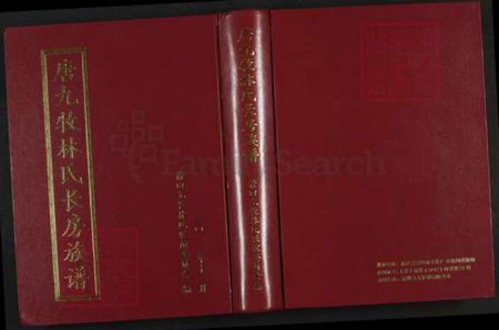 福建省泉州市洛江区唐氏族谱-唐九牧林氏长房族谱.pdf电子版缩略图