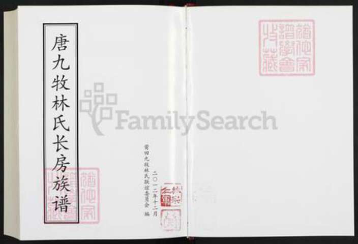 福建省泉州市洛江区唐氏族谱-唐九牧林氏长房族谱.pdf电子版预览图1