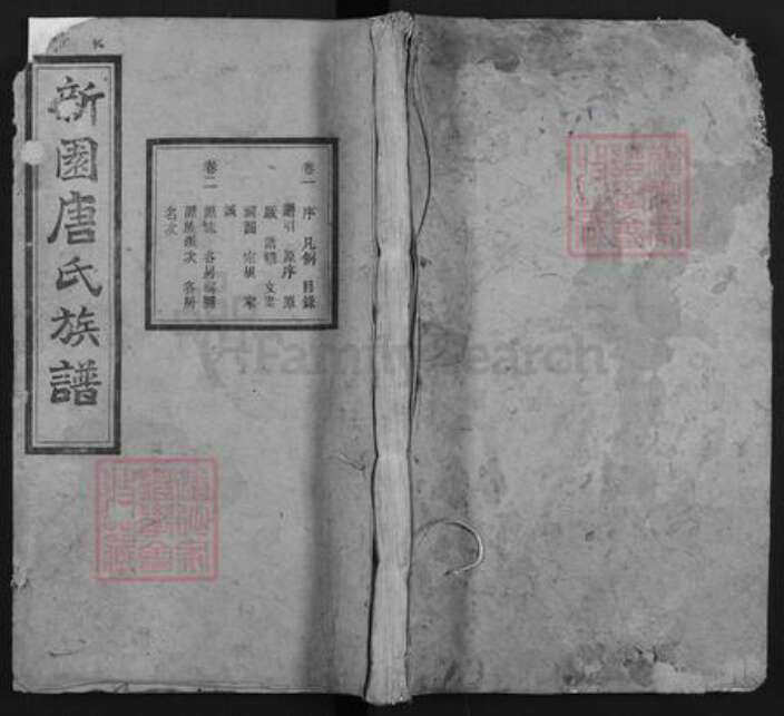 湖南省湘潭市湘乡市东郊乡唐氏伦鉴堂族谱-新园唐氏八修族谱.pdf电子版缩略图