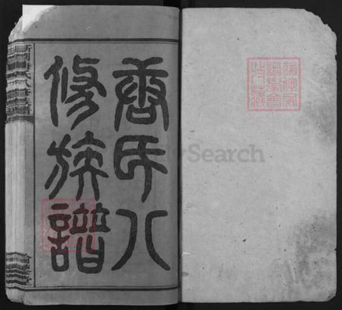 湖南省湘潭市湘乡市东郊乡唐氏伦鉴堂族谱-新园唐氏八修族谱.pdf电子版预览图1