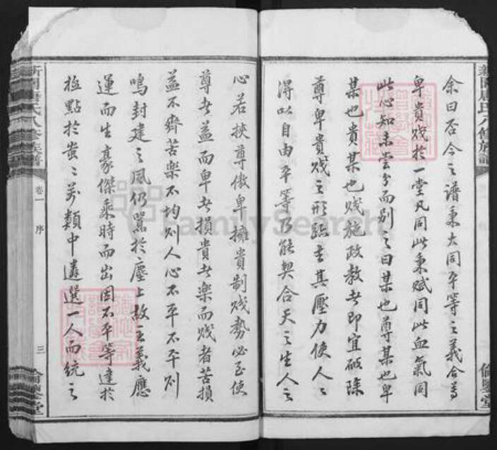 湖南省湘潭市湘乡市东郊乡唐氏伦鉴堂族谱-新园唐氏八修族谱.pdf电子版预览图4