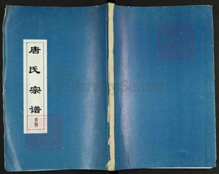 湖北省黄冈市麻城市唐氏族谱-唐氏宗谱.pdf电子版缩略图