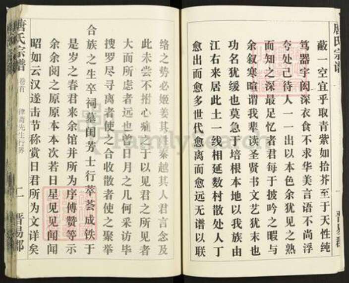 湖北省黄冈市麻城市唐氏族谱-唐氏宗谱.pdf电子版预览图3