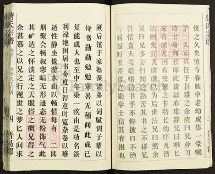 湖北省黄冈市麻城市唐氏族谱-唐氏宗谱.pdf电子版预览图5