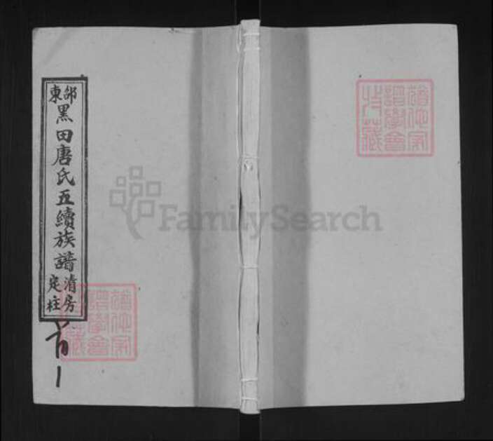 湖南省邵阳市邵东唐氏敦睦堂族谱-邵东黑田唐氏五续族谱.清房定柱.pdf电子版缩略图