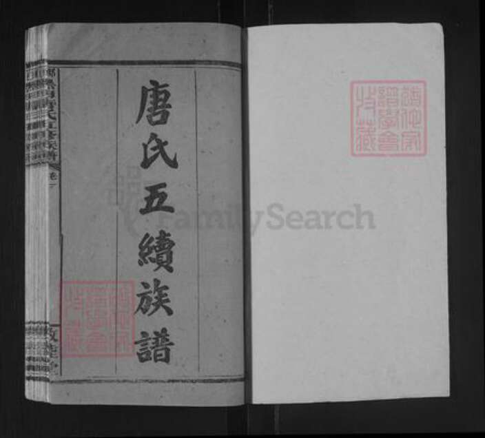 湖南省邵阳市邵东唐氏敦睦堂族谱-邵东黑田唐氏五续族谱.清房定柱.pdf电子版预览图1