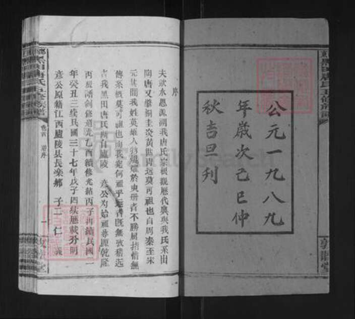 湖南省邵阳市邵东唐氏敦睦堂族谱-邵东黑田唐氏五续族谱.清房定柱.pdf电子版预览图2