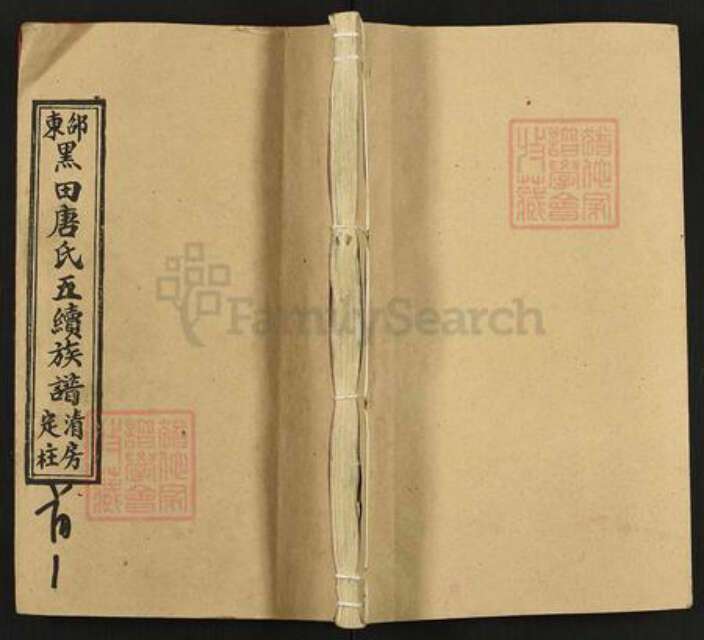 湖南省邵阳市邵东唐氏敦睦堂族谱-绍东黑田唐氏五修族谱.pdf电子版缩略图