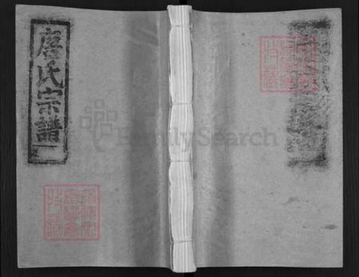 安徽省安庆市宿松县唐氏族谱-唐氏宗谱.pdf电子版缩略图