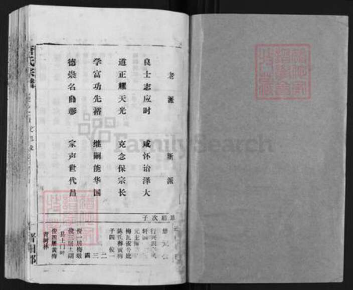 安徽省安庆市宿松县唐氏族谱-唐氏宗谱.pdf电子版预览图1