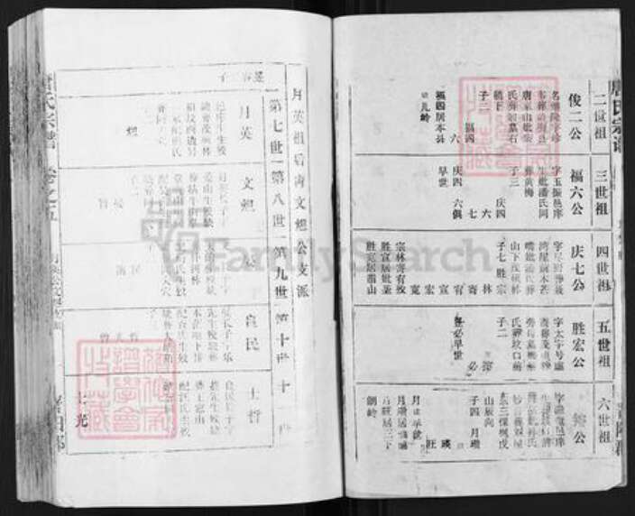 安徽省安庆市宿松县唐氏族谱-唐氏宗谱.pdf电子版预览图2