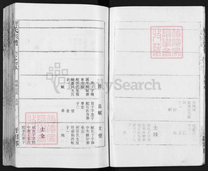 安徽省安庆市宿松县唐氏族谱-唐氏宗谱.pdf电子版预览图4