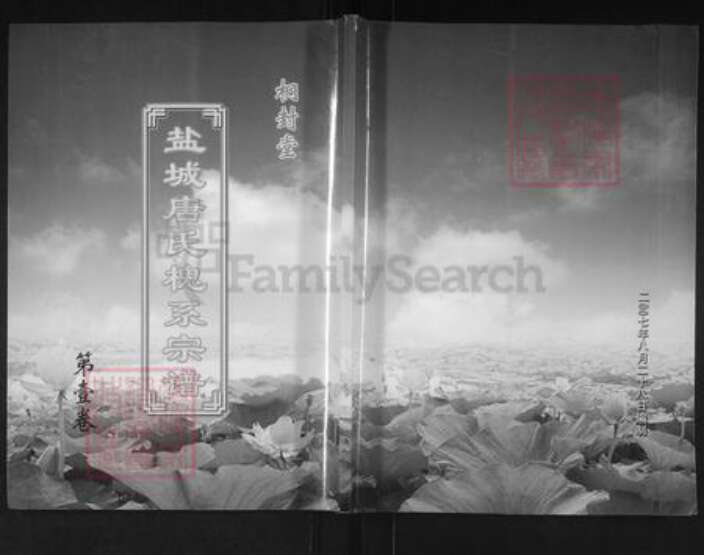 江苏省扬州市宝应县唐氏桐对堂族谱-盐城唐氏槐系宗谱.pdf电子版缩略图