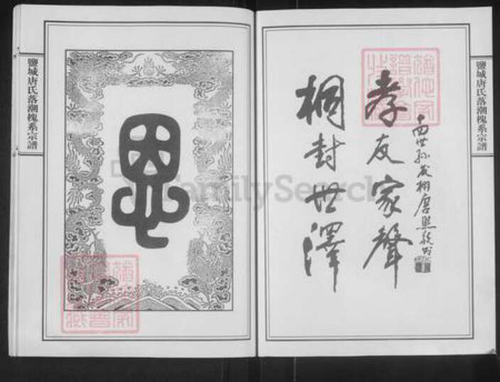 江苏省扬州市宝应县唐氏桐对堂族谱-盐城唐氏槐系宗谱.pdf电子版预览图2