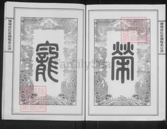 江苏省扬州市宝应县唐氏桐对堂族谱-盐城唐氏槐系宗谱.pdf电子版预览图3