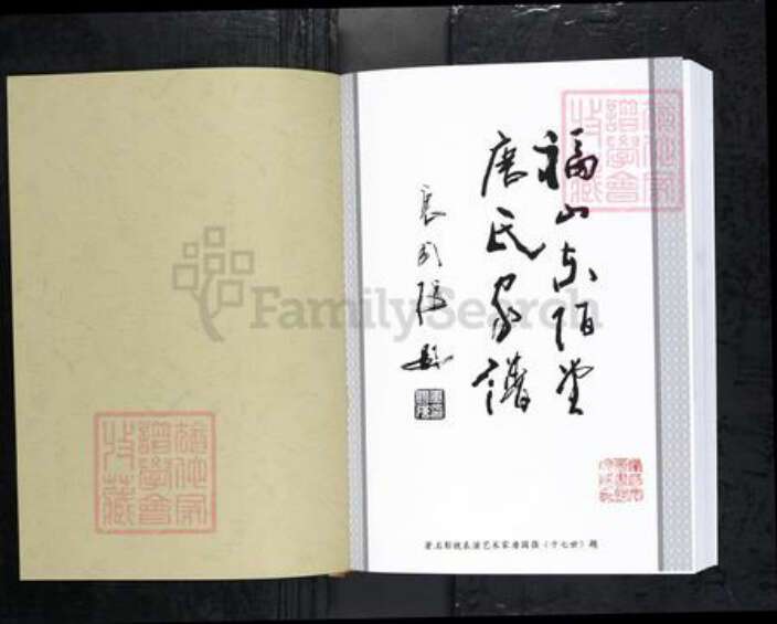 山东省烟台市唐氏族谱-福山东陌堂唐氏家谱.pdf电子版预览图1