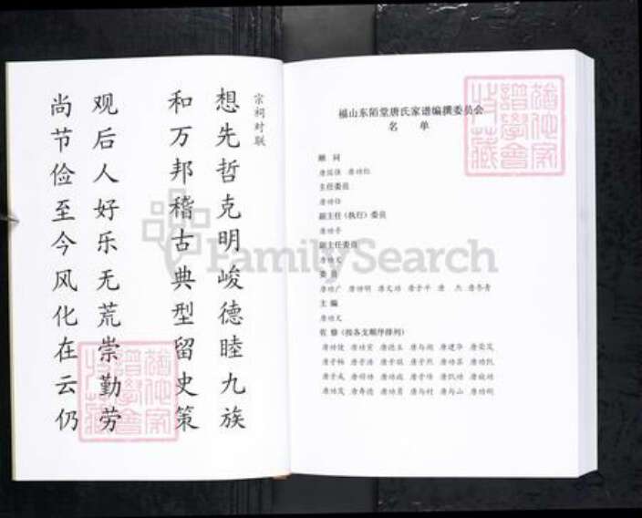 山东省烟台市唐氏族谱-福山东陌堂唐氏家谱.pdf电子版预览图2