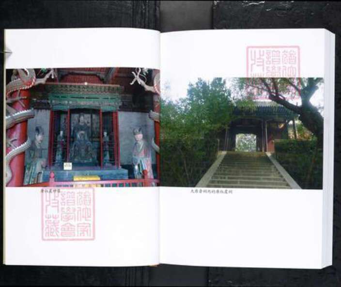 山东省烟台市唐氏族谱-福山东陌堂唐氏家谱.pdf电子版预览图3