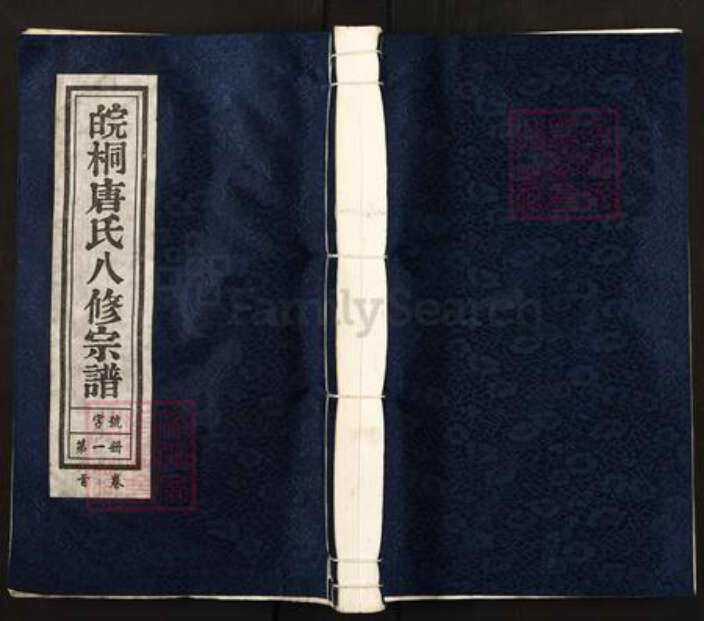 安徽省安庆市桐城市唐氏族谱-皖桐唐氏八修宗谱.pdf电子版缩略图