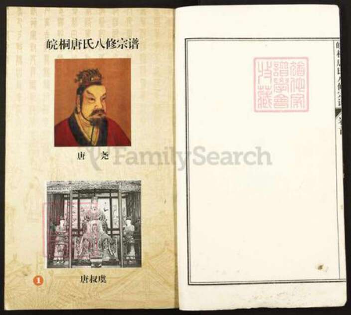 安徽省安庆市桐城市唐氏族谱-皖桐唐氏八修宗谱.pdf电子版预览图2